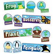 Carson Dellosa Education Life Cycles Bulletin Board SetPicture Cards ...