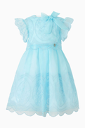 Elie Saab Embroidered Organza Dress